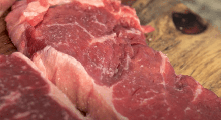 USDA Select Steak