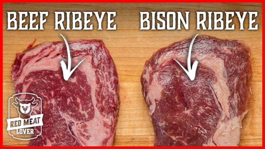 bison vs beef
