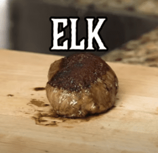 elk steak