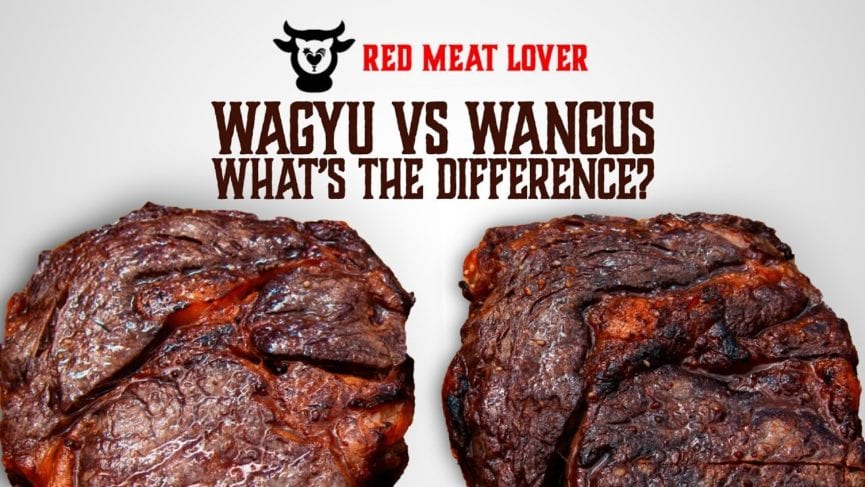 wagyu vs wangus
